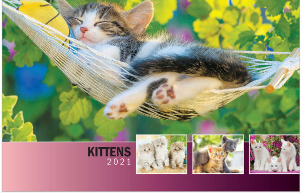 Kittens