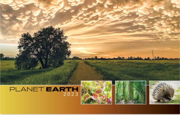 Eco / Environment